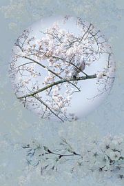 Duif in Lichtblauw Pastel tussen Bloesem 1. Japan. van Alie Ekkelenkamp