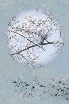 Duif in Blauw Pastel tussen Bloesem 1. Digital Art. Japan. van Alie Ekkelenkamp