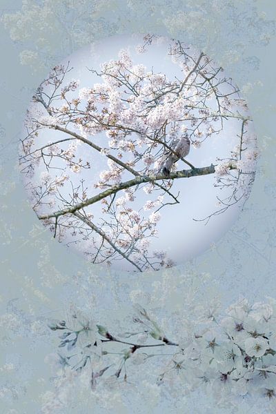 Pigeon in Blue Pastel between Blossom 1 by Alie Ekkelenkamp