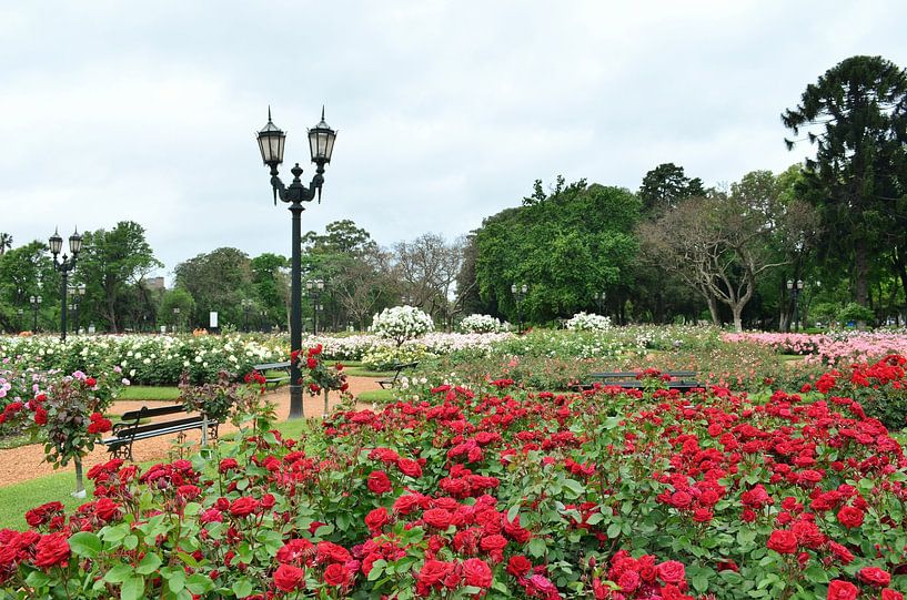 Rosengarten von Palermo, Buenos Aires von Carolina Reina Photography