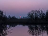 Blauw uur in het paars