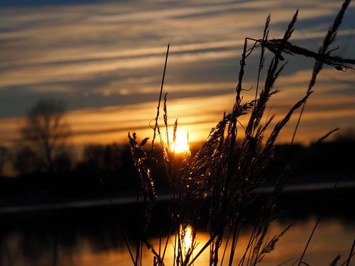 Unvergessliche Momente Teil 3