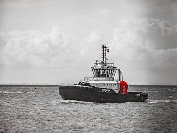 Remorqueur en route sur la Weser vers Bremerhaven. sur scheepskijkerhavenfotografie