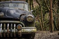 Abandoned Buick Special Coupe. van Stefan Verhulp thumbnail