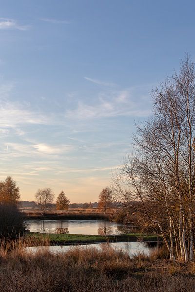 Beruhigende Herbstlandschaft. von Anjo ten Kate