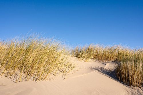 Strand op het eiland Schiermonnikoog in de Waddenzee