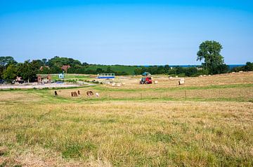 Rural life on the Baltic Sea by Werner Lerooy