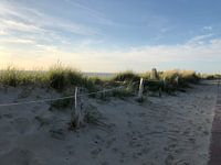 Dunes