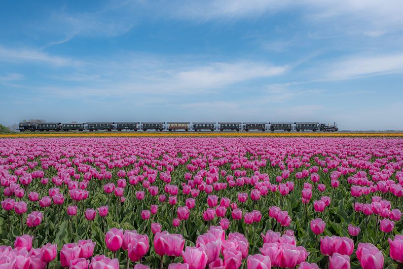 Museumstoomtram Hoorn-Medemblik by Moetwil en van Dijk - Fotografie