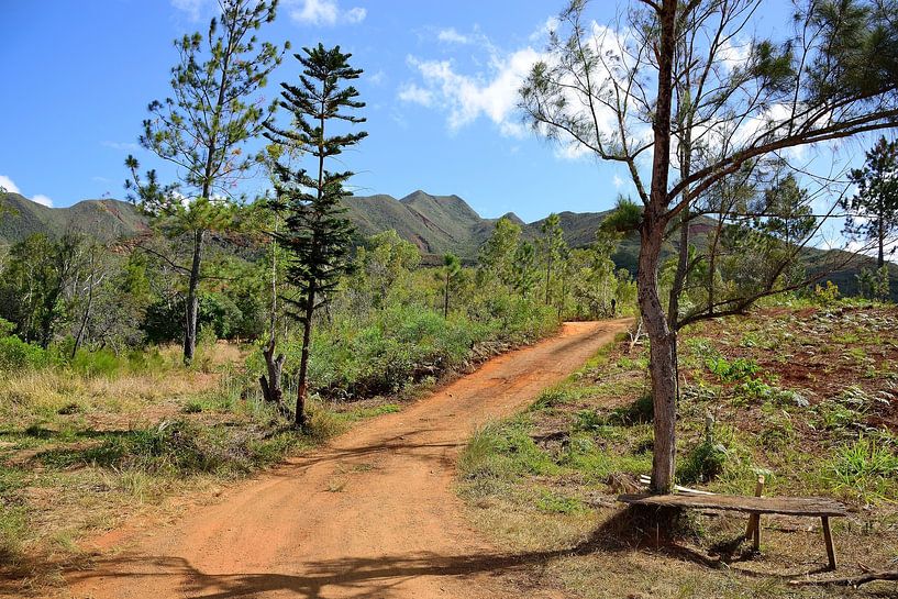 Onverharde weg naar de bergen van Frank's Awesome Travels