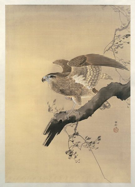 Hawk, Ohara Koson, 1887 - 1945 by Creative Masters