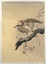 Hawk, Ohara Koson, 1887 - 1945 by Creative Masters thumbnail