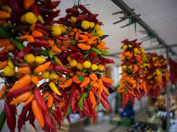 Spaanse pepers op een markt in Mallorca van t.ART