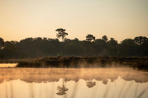 Overasselt fens part 32