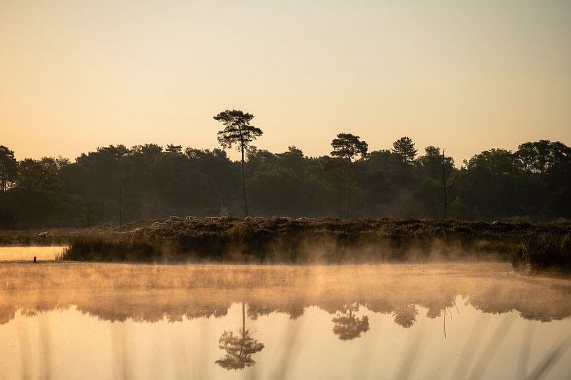 Overasselt fens part 32 by Tania Perneel