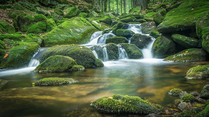 Ein Wasserfall im Wald in Bayern von Tobias Luxberg