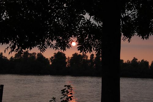 Zonsondergang Dordtse Kil