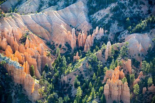 zonsopkomst over bryce canyon