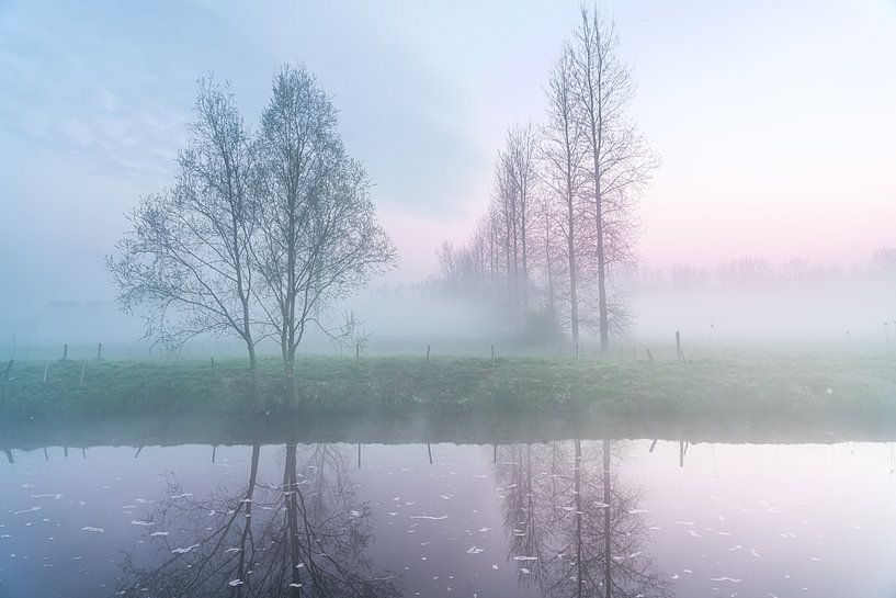 At the Dender in Idegem on a misty morning by Marcel Derweduwen