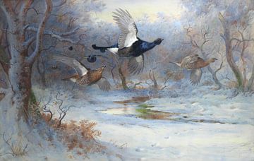 Birkhahn und Schneehuhn auf der Flucht, Archibald Thorburn