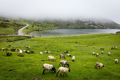 Seen von Covadonga Spanien