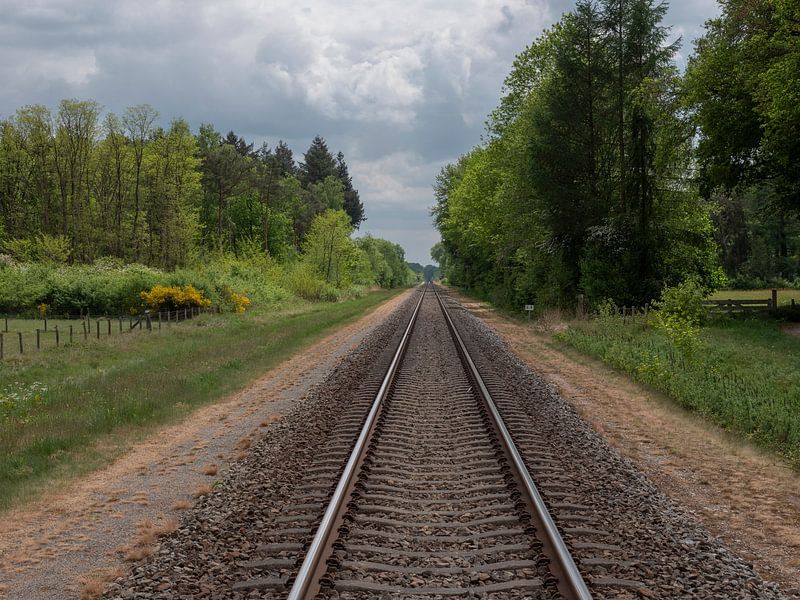 Einspuriger Weg in schöner Natur von Robin Jongerden