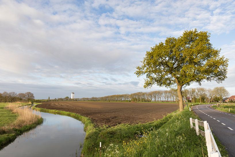 Landscape Kromme Rijn par Marijke van Eijkeren