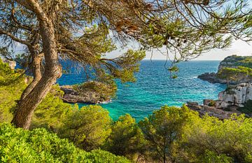 Schöner Blick auf die Küste der Insel Mallorca, Spanien von Alex Winter