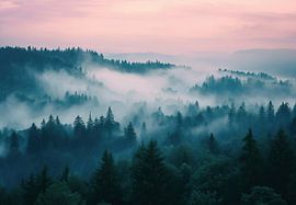 Mountain landscape in the morning mist