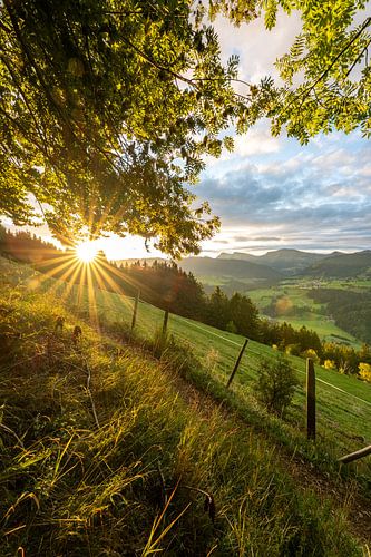 Zonsopgang in Kapf bij Oberstaufen met uitzicht op Steibis en de Hochgrat op het Nagelfluh-gebergte in de Allgäu