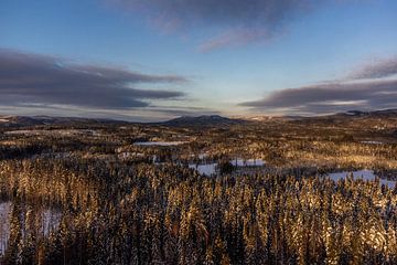 Drone landscape winter Sweden