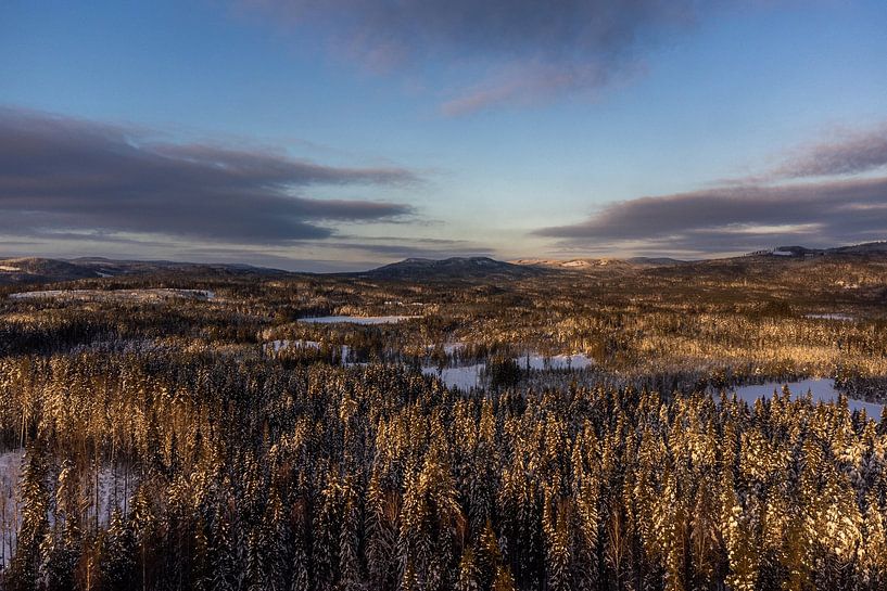 Drohne Landschaft Winter Schweden von Erwin Stevens