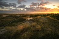 Zonsondergang boven de duinen van Oliver Henze thumbnail