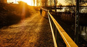Goldenes Ufer – Läufer & lange Schatten