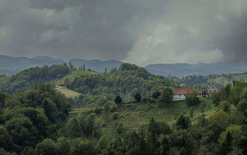 Weinberge in der Steiermark - Österreich von Mart Houtman