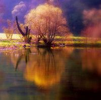 Sinfonie am See