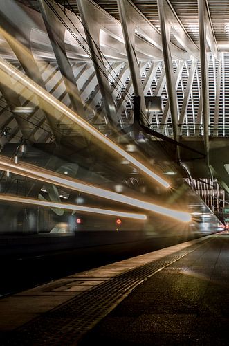 Trein departure Station Luik-Guillemins