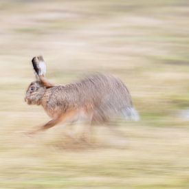 Run for your life by Ronald Buitendijk Fotografie