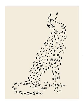 Pandc Leopard