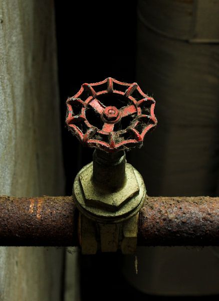 Rusty faucet par Roel van Mil