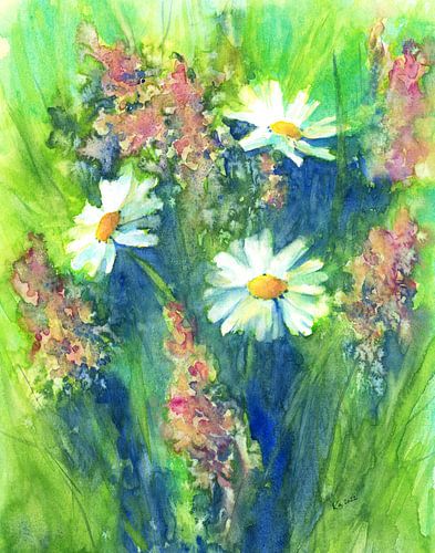 Prairie de fleurs sauvages avec marguerites