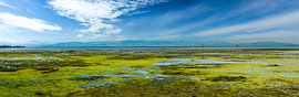 Panorama du lac de Constance en été sur Dieter Walther