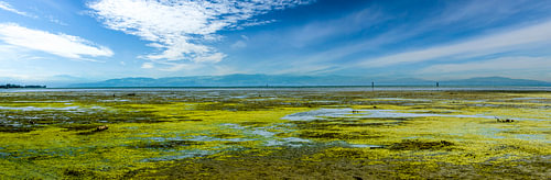 Panorama of Lake Constance in Summer by Dieter Walther