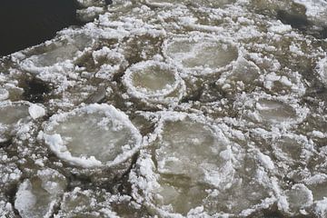 Eisschollen auf der Elbe im Winter