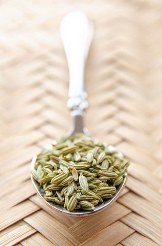 Graines de fenouil sur une cuillère sur RB-Photographie