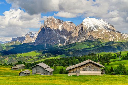Seiser Alm of Alpe di Siusi in de Dolomieten in het voorjaar