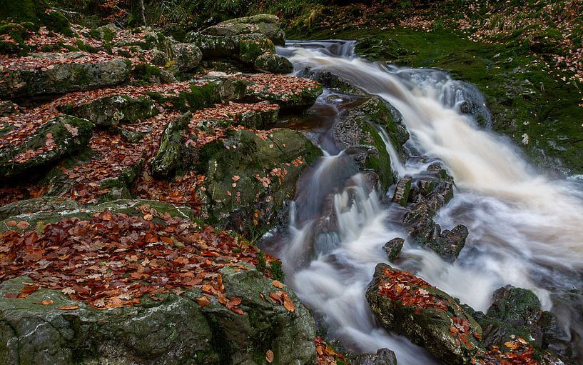 La Hoëgne by Mike Broers