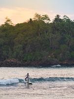 Surfer in Hiriketiya bei Mirissa, Sri Lanka