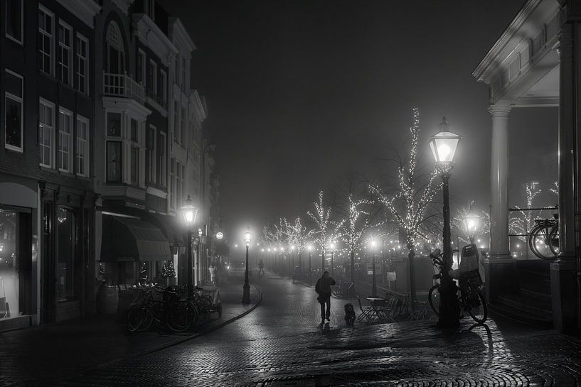 Winternacht in Leiden von Bas Schneider
