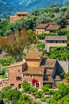 Schöne Aussicht auf die alten mediterranen Häuser von Fornalutx von Alex Winter